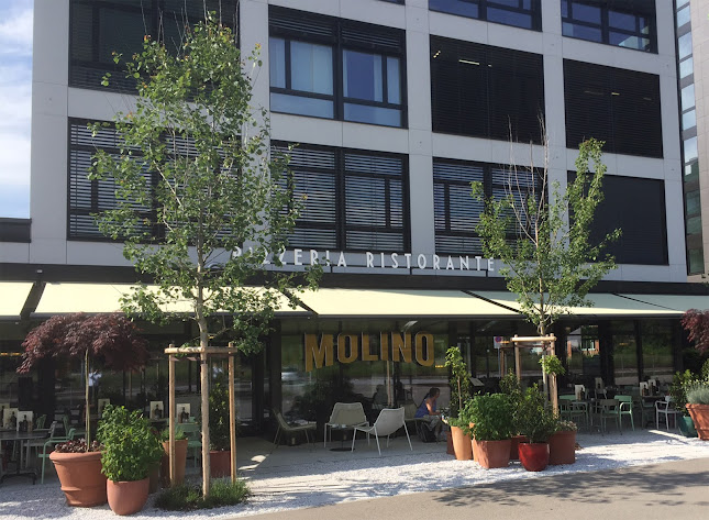 Comentarii opinii despre Pizzeria Ristorante Molino Affoltern am Albis