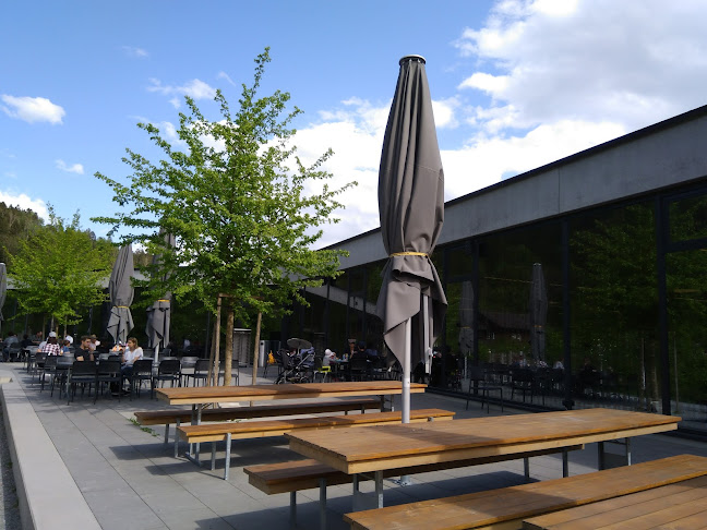 Bernerhöchi - Goldau