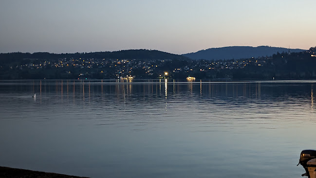 Seerose Bar & Lounge - Gastronomie und Hotellerie