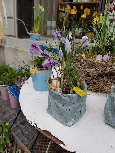 Blüten Café - Schaffhausen