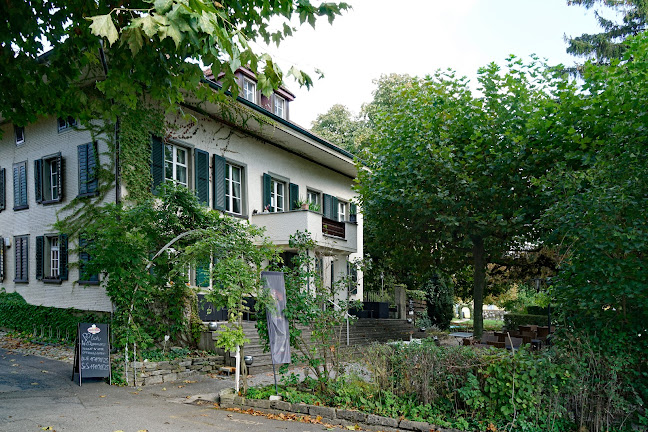 Comentarii opinii despre Moospinte