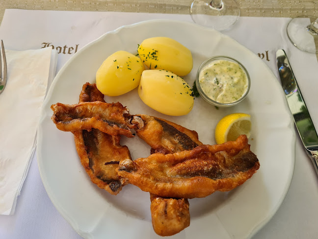 Hotel-Speiserestaurant Hallwyl AG - Gastronomie und Hotellerie