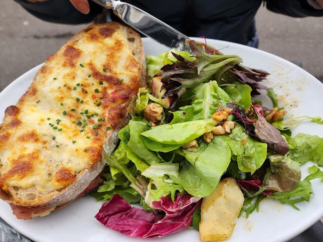 Comentarii opinii despre Franzos