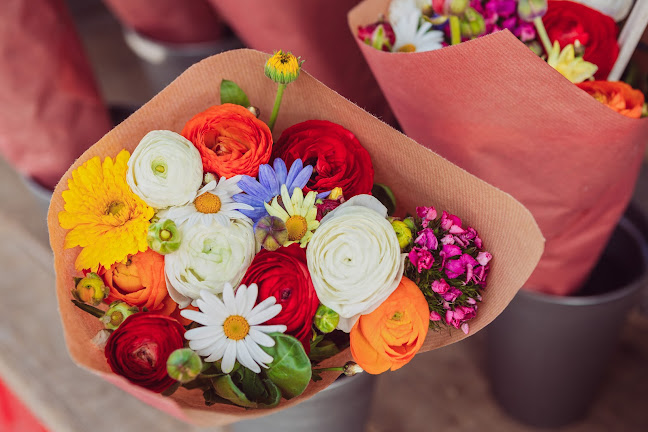 Basler Stadtmarkt - Basel