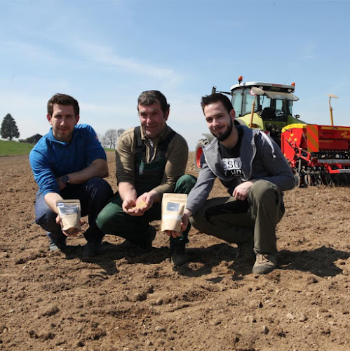 Ferme des Pierres - Villargiroud