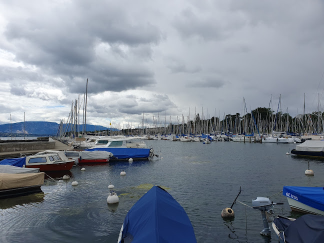 Restaurant du Club Nautique de Versoix - Versoix