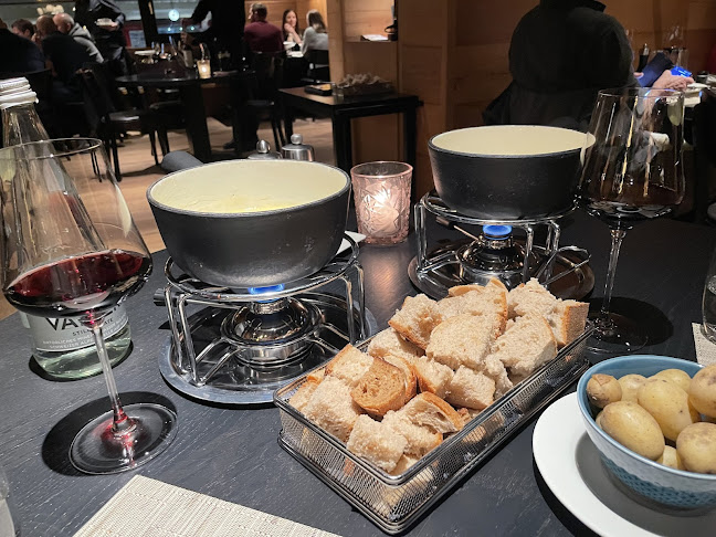 Comentarii opinii despre Pulsa Fonduestube