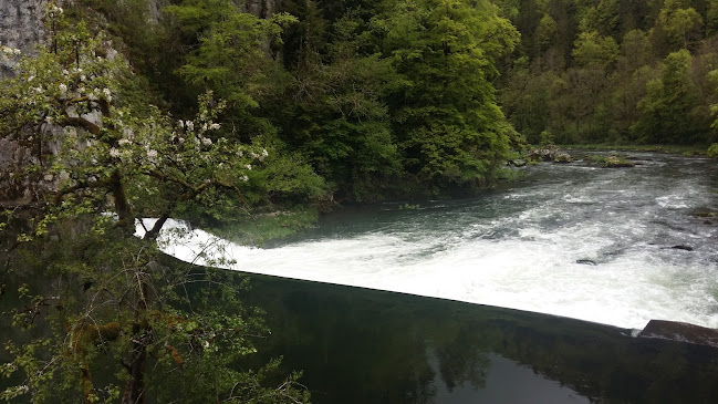 Opinii despre Restaurant du Theusseret în Delsberg - Gastronomie und Hotellerie