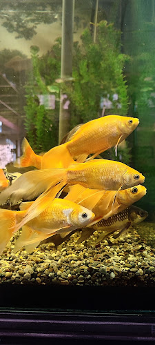 Bahnhofstrasse 35, 8180 Bülach