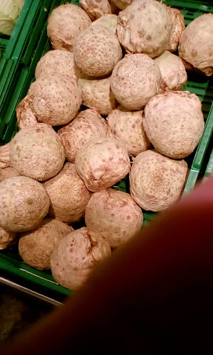 Molliserstrasse 41, 8754 Netstal