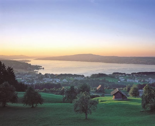 Collina - Gastronomie und Hotellerie