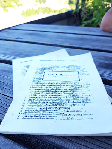 Comentarii opinii despre Belvédère