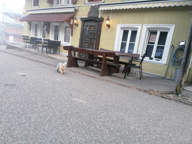 Comentarii opinii despre Restaurant Hubel