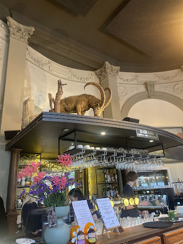 Comentarii opinii despre Alpineum Kaffeehaus°Bar