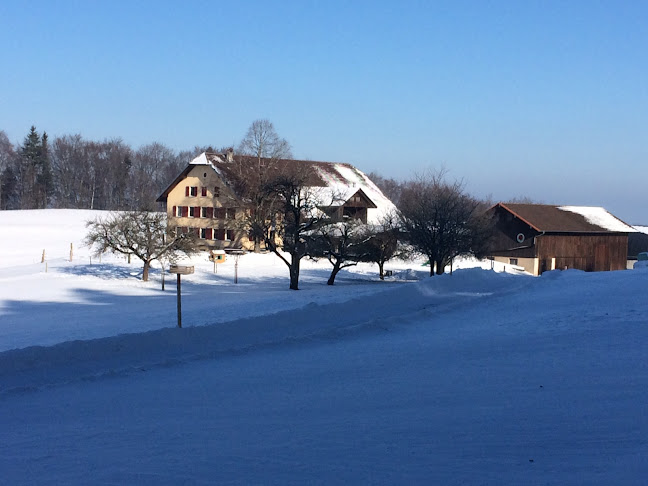 Restaurant Pierreberg - Gastronomie und Hotellerie