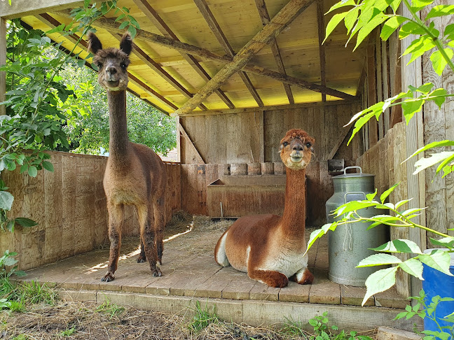 Hattigen 5, 3636 Forst-Längenbühl