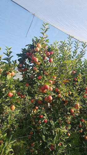 Opinii despre Verger des Bois în Bernex - Gastronomie und Hotellerie
