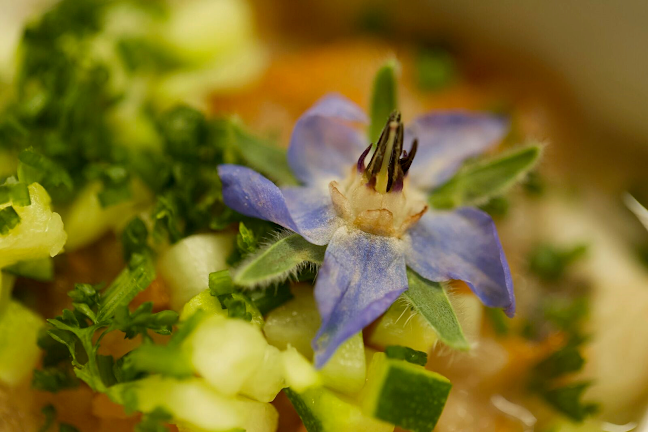 BTB Boucherie Traiteur Boissons SA - Gastronomie und Hotellerie