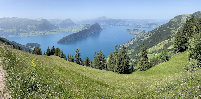 Hinterbergen - Vitznau