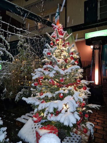 Comentarii opinii despre O'Callaghan's Shamrock Irish Pub