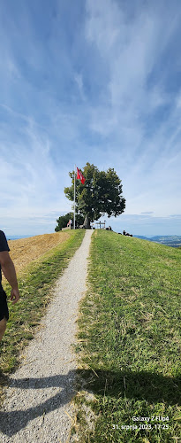 Panorama Restaurant Chutze - Gastronomie und Hotellerie