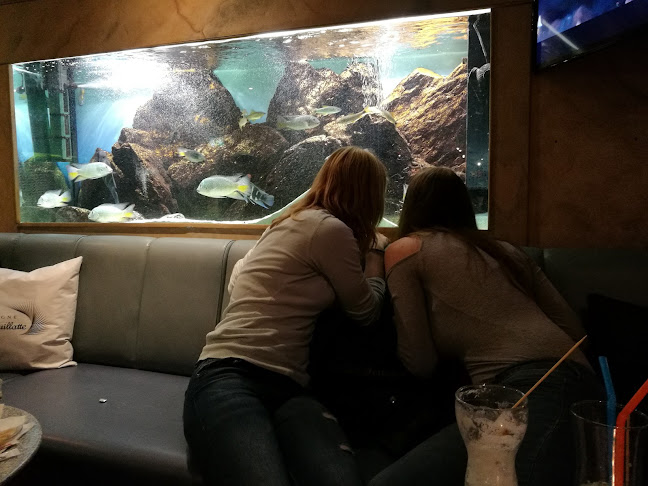 Comentarii opinii despre Aquarius Kinobar