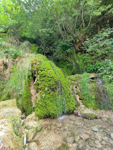 Le Theusseret 5, 2354 Goumois