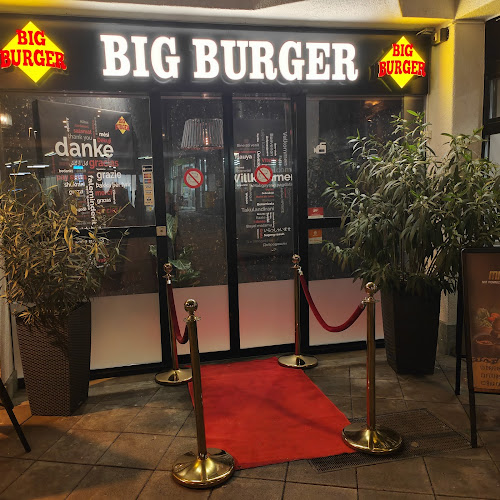 Comentarii opinii despre Big Burger Diner & Kurier Lyss