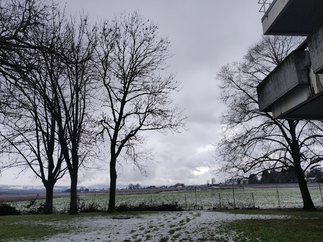 CERN Restaurant 2 - Gastronomie und Hotellerie