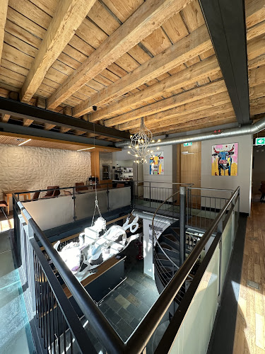 Comentarii opinii despre La Vache Qui Vole !