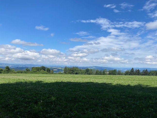 Opinii despre Teehusli Buchenegg în Stallikon - Gastronomie und Hotellerie