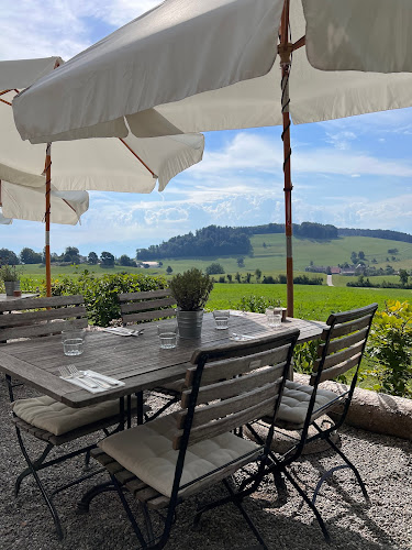 Comentarii opinii despre Albishaus