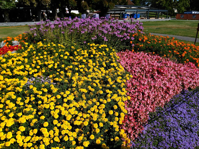 Comentarii opinii despre Schifflände