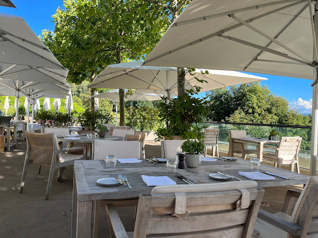 Comentarii opinii despre Saltz