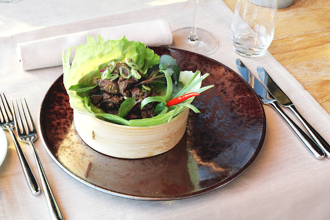 Comentarii opinii despre elemänt