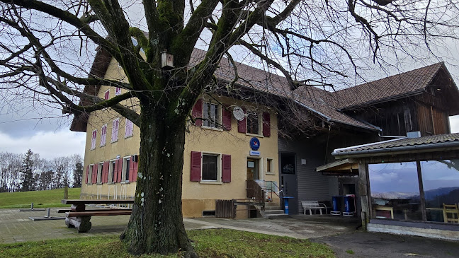 Restaurant Pierreberg - Gastronomie und Hotellerie