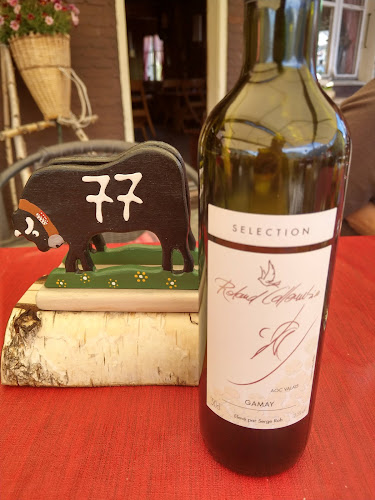 Comentarii opinii despre Restaurant Birgisch