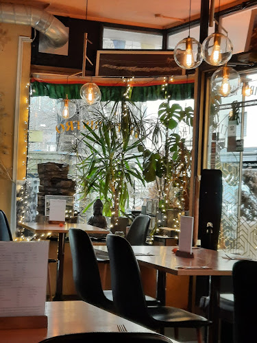 Opinii despre TIBET BISTRO ● Supertasty Food & Drinks ● VEGAN or BEEF ●Restaurant & Take Away● 🚶3min.🚶🏼‍♀️ HB Winterthur în Winterthur - Gastronomie und Hotellerie