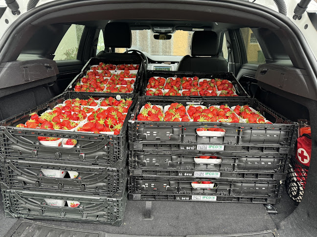 Hofladen Osterhalden - Frauenfeld