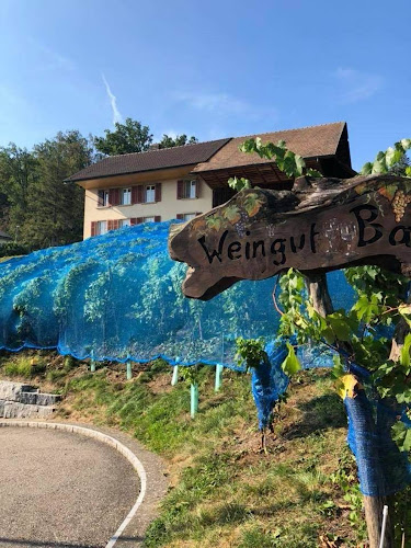 Weingut Cinq - Gastronomie und Hotellerie