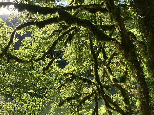Restaurant du Theusseret - Delsberg