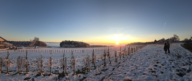 Wirtschaft Stelzenhof AG