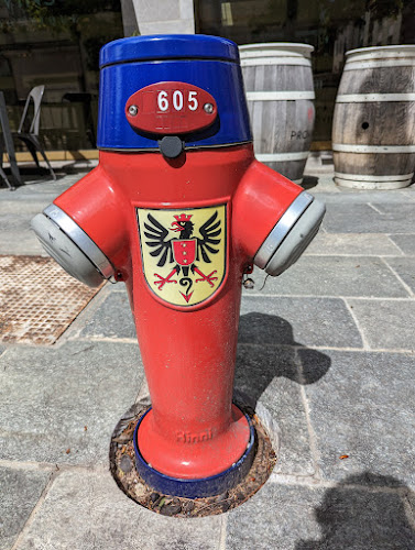 Opinii despre Vitetta Pizzeria în Brig-Glis - Gastronomie und Hotellerie