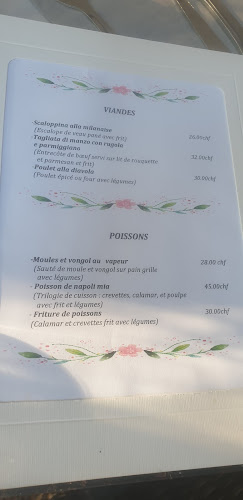 Opinii despre Ristorante Napoli Mia Pizzeria Floraire în Chêne-Bourg - Gastronomie und Hotellerie