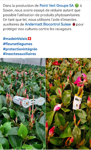 Point Vert Production & vente directe Saxon - Gastronomie und Hotellerie