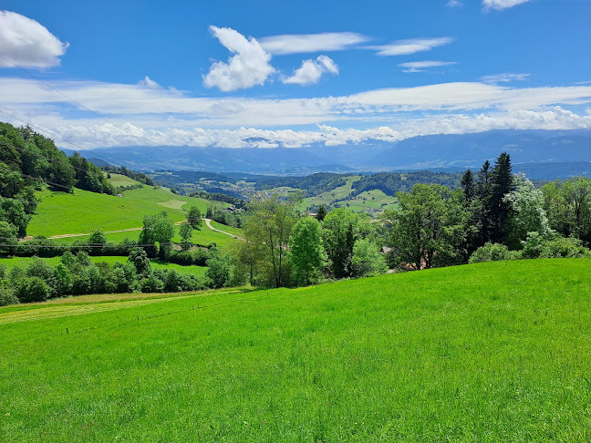 Bachtel-Ranch - Gastronomie und Hotellerie