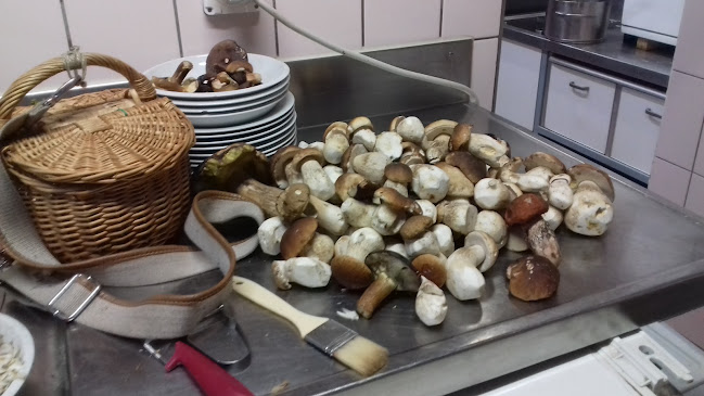 Rümelinbachweg 14, 4054 Basel