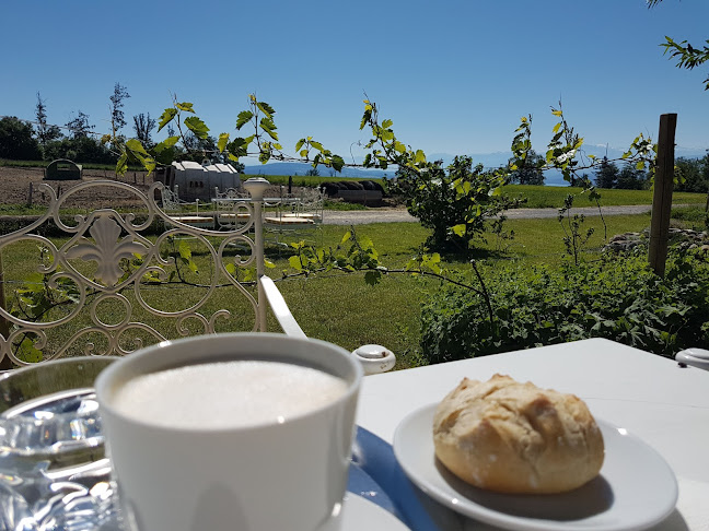 HofCafe - Gastronomie und Hotellerie