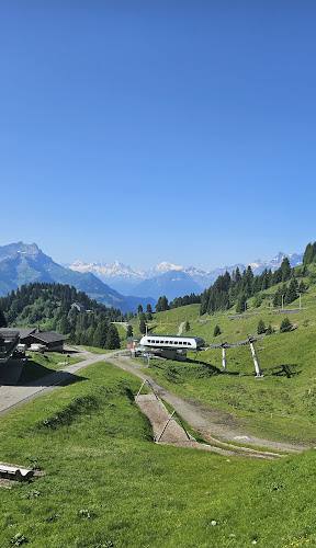 Comentarii opinii despre Bretaye 1808