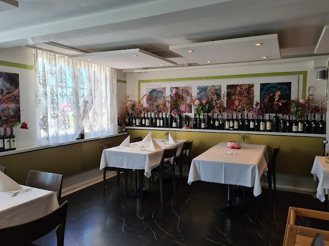 Comentarii opinii despre Dolce Vita